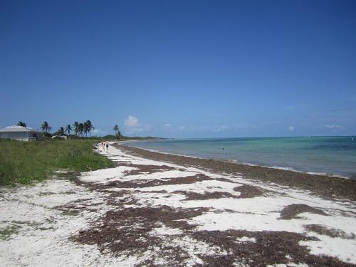 Sandee - Sandspur Beach