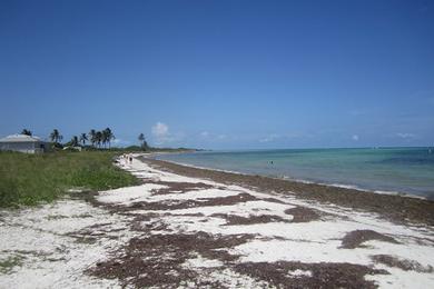 Sandee Sandspur Beach Photo