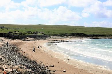 Sandee St Andrews Castle Sands Beach Photo