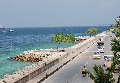 Sandee - Bodu Magu