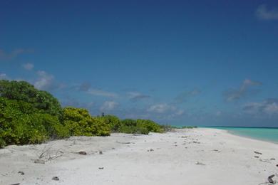 Sandee Athiri Beach Photo