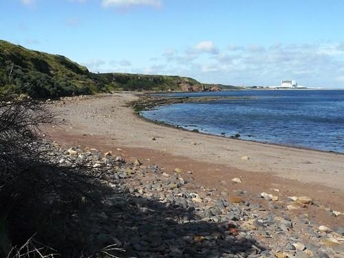 Sandee - Dunglass Beach