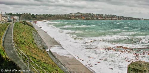 Sandee - Ross Bay Beach