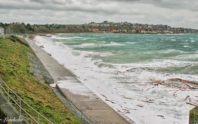 Sandee Ross Bay Beach