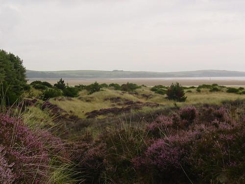 Sandee - HomePage / Kirkcudbright