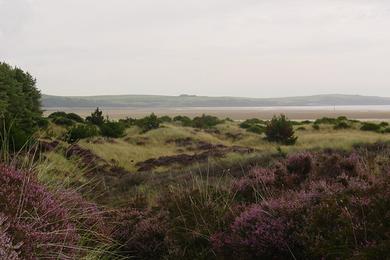 Sandee - Country / Kirkcudbright