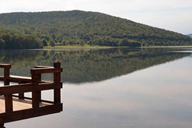 Sandee Allegany State Park Beach Quaker