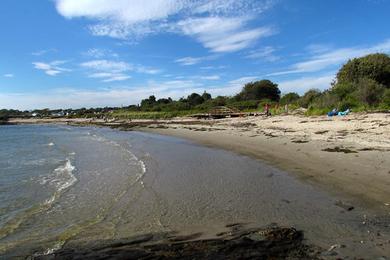 Sandee Sand Cove Beach Photo