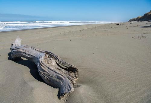 Sandee - Mike Thompson Wildlife Area - South Spit Humboldt Bay