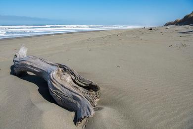 Sandee Mike Thompson Wildlife Area - South Spit Humboldt Bay Photo