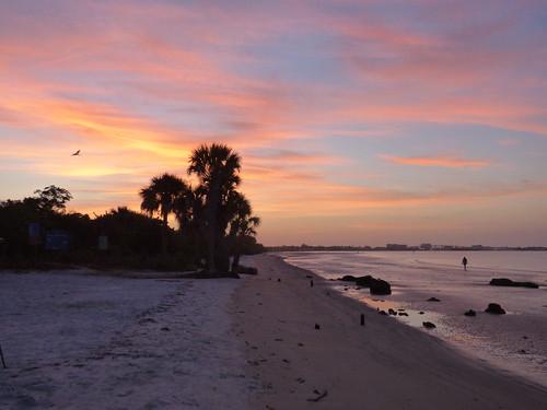 Sandee - San Carlos Bay-Bunche Beach Preserve