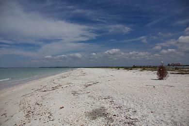 Sandee Tiger Shores Beach Photo