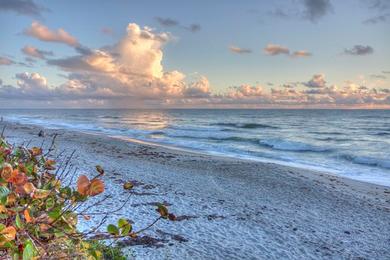 Sandee Hangar's Beach