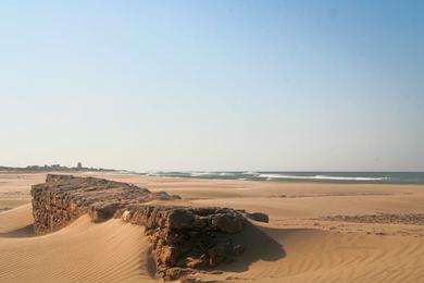 Sandee El Chato Beach Photo
