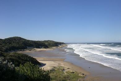 Sandee Bonza Bay Beach