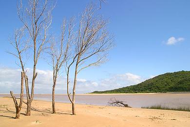 Sandee Bashee River Photo