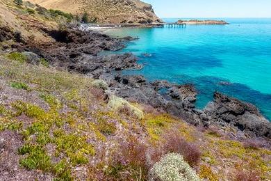 Sandee Oasis Beach