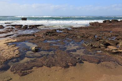 Sandee Shaka's Rock Beach