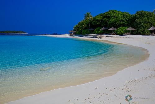 Sandee - Shark Bay Beach