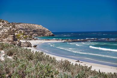 Sandee - Shark Bay Beach