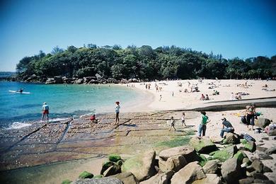Sandee Shelley Beach
