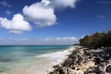 Sandee Catalina Beaches