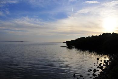 Sandee Lutz Beach Photo