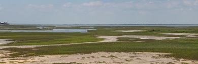 Sandee - Galveston Island State Park