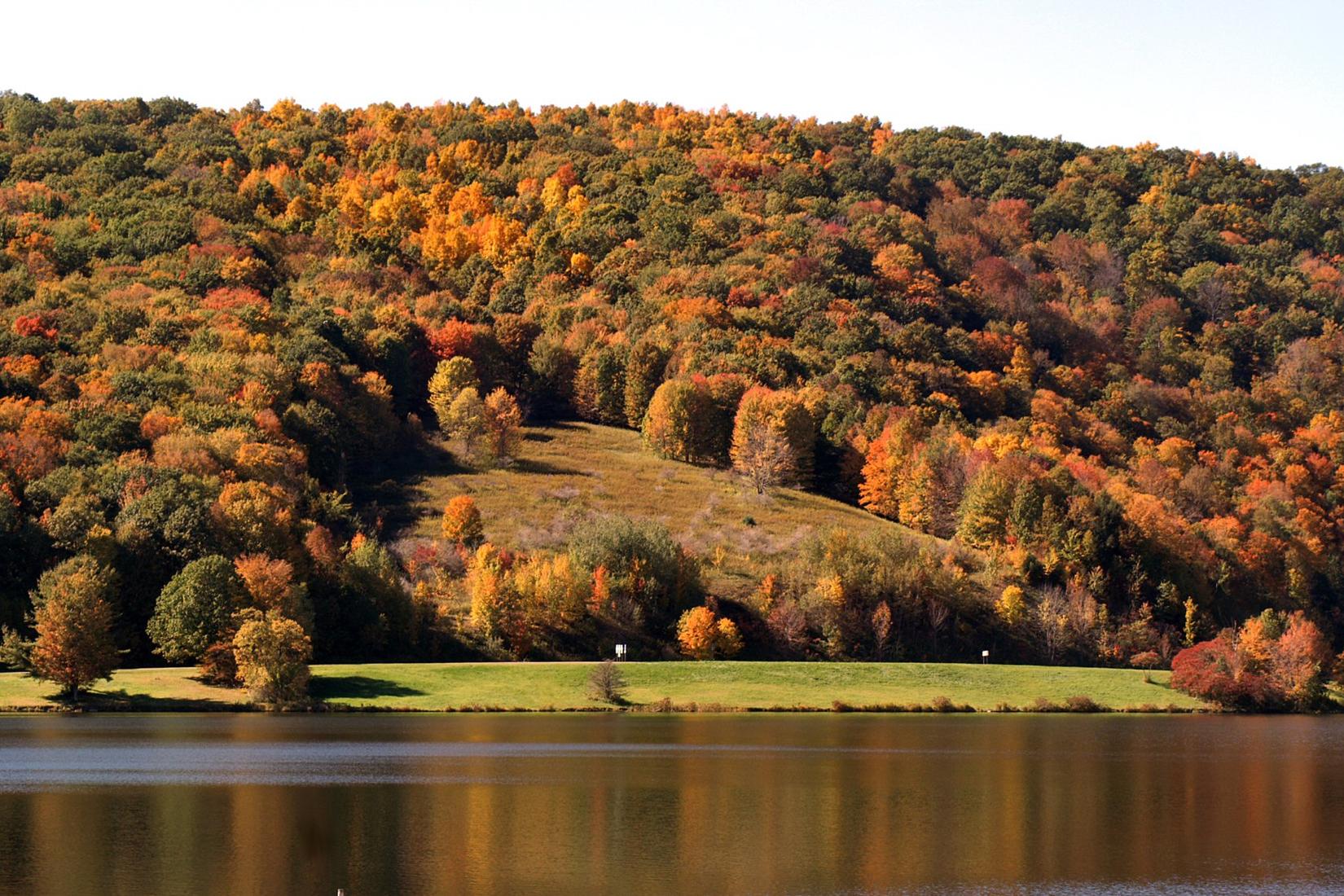 Sandee - Allegany State Park Beach Red House