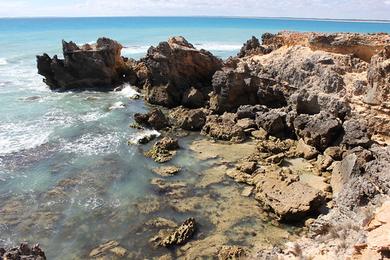 Sandee Coral Beach Photo