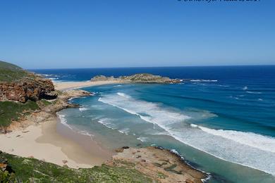 Sandee Blue Dolphin Beach