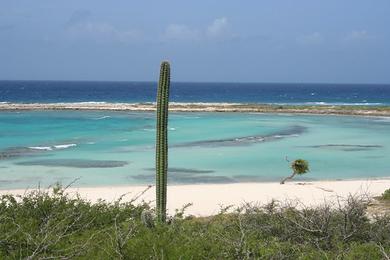 Sandee Baby Beach