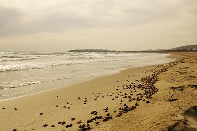 Sandee - Agios Ioannis Porto Beach