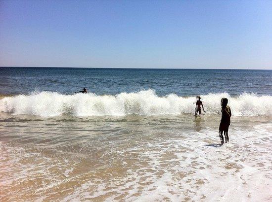 Sandee - Kirk Park Beach