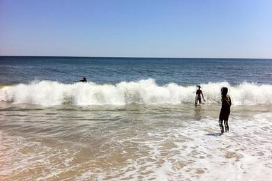 Sandee - Kirk Park Beach