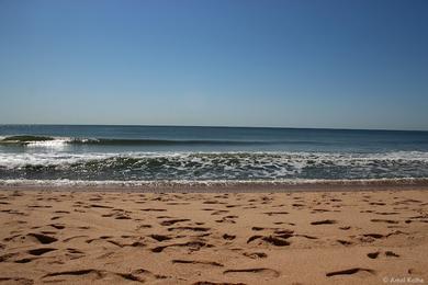 Sandee - Kirk Park Beach