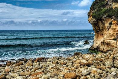 Sandee Avis Beach