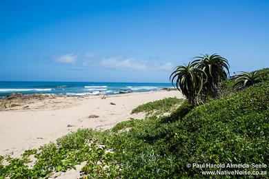 Sandee Southbroom Beach