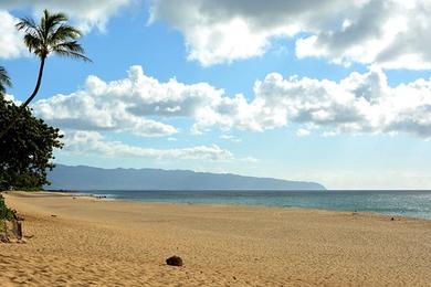 Sandee Pipeline Beach