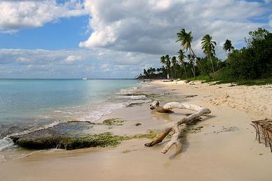 Sandee Longos Beach