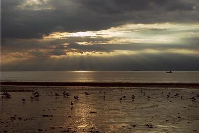 Sandee Milea Beach