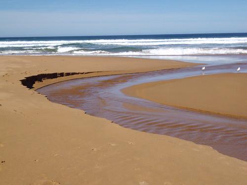 Sandee - First Dunes Beach