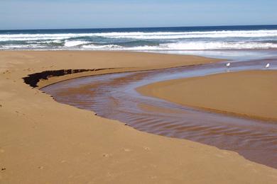 Sandee First Dunes Beach