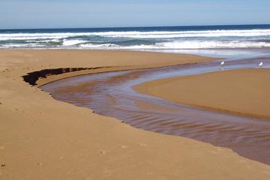 Sandee First Dunes Beach Photo