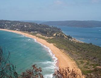 Sandee Palms Beach