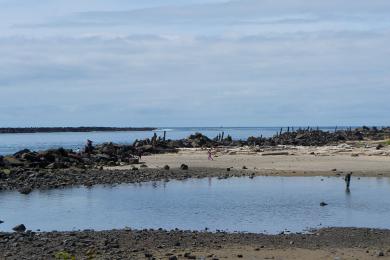 Sandee Barview County Park Beach Photo