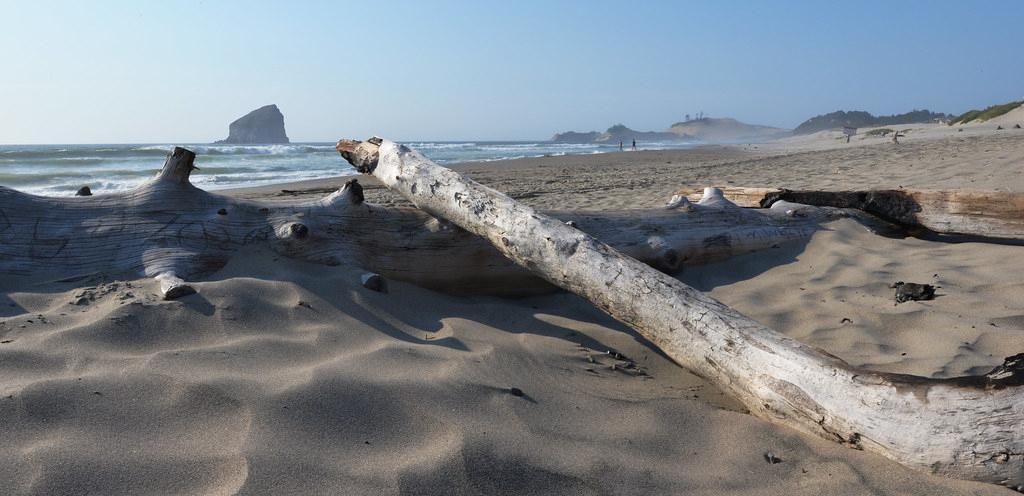 Sandee - Bob Straub State Park Beach