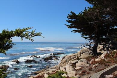 Sandee Pine Beach