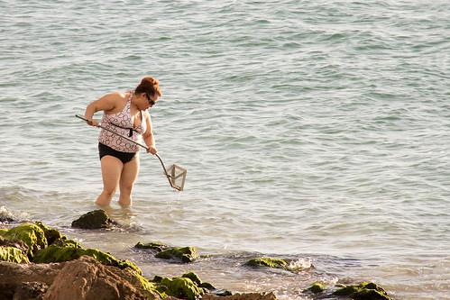 Sandee - Sieves Beach