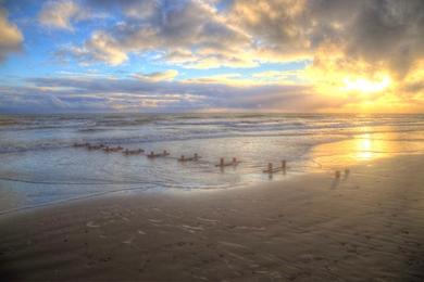 Sandee Handheld Beach